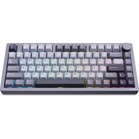 Resim Philips EVNIA SPK8618 Mekanik RGB 81 Tuş USB/Bluetooth/2.4G Kablosuz Oyuncu Klavyesi Gri 