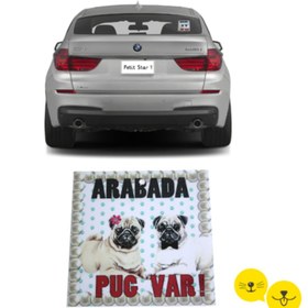 Resim Petit Star Arabada Pug Var ! 