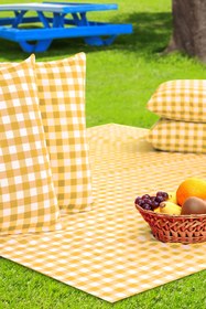 Resim AfgTech Piknik Seti 170x170cm Piti Kareli Piknik Örtüsü, 40x40cm 4 Adet Minder Sari 