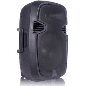 Resim Network Ew-12 12inç 2 Yollu 500w Pasif Hoparlör 