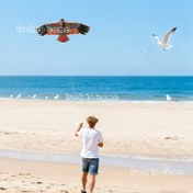 Resim Kartal Tasarımlı Uçurtma - 1181.1 Hat, 110.01 cm Büyük Sağlam Çerçeve, Canlı Renkler (Açık Kahverengi/Karışık/Siyah) - Plaj ve Parkta Kullanım İçin Dayanıklı Rüzgar Dirençli Yetişkin Uçurtması 