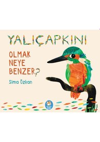 Resim Yalıçapkını Olmak Neye Benzer 