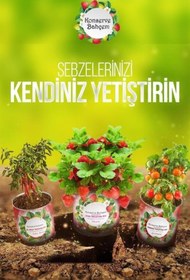 Resim 3DNOVAOFFİCİALTR BUFFER® Konserve Bahçem Evde Konservede Sultani Bamya Yetiştirme Kiti 