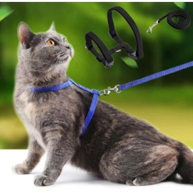 Resim Eco Lounge Kedi Tasması 