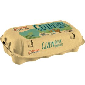 Resim Gezen Tavuk Yumurtası M Boy 10'lu 