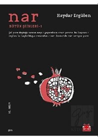 Resim Nar - Haydar Ergülen - Kırmızı Kedi 