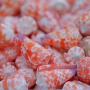 Resim 1 adet Renkli Kefir El Sanatları - Okyanus Stili Yaratıcı Ev Dekorasyonu, Balık Tankı Akvaryum Peyzaj Dekorasyonu, Bohem El Yapımı DIY Malzemeleri 