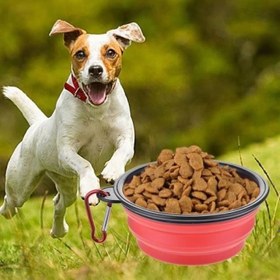 Resim Katlanabilir Kedi Köpek Mama Ve Su Kabı Köpek Oyuncağı 