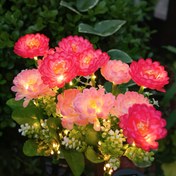 Resim 7 Adet Güneş Enerjili Kar Lotus Işıkları, Kırmızı Ve Pembe Çiçekler, Dış Mekan Işıkları, Ev Avlusu Bahçe Atmosferi Dekorasyon Işıkları, Kar Lotus Işıkları, Çim Işıkları 