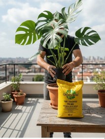 Resim 40 Litre İthal Çok Amaçlı Bitki Toprağı Torf Cocopeat Kokopit 