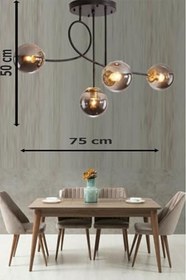 Resim Fer Avize JADE Modern Globe Camlı Siyah Kasa Füme Camlı Salon - Mutfak - Yatak Odası 4 lü Avize 