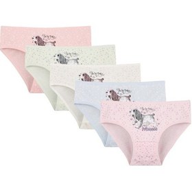 Resim 5'li Kız Çocuk Külot 4181b1 Mavi 