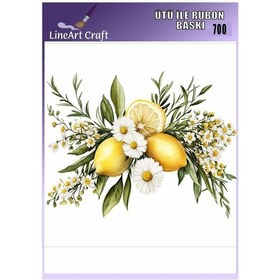 Resim Ütü İle Rub On Transfer Kağıdı - No: 700 30x30 Cm 