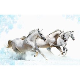 Resim Koşan Beyaz Atlar Duvar Kağıdı (361157075) 
