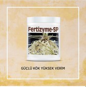 Resim Fertizyme-SP Köklendirici ve Bitki Geliştirici 