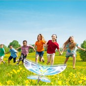 Resim Geekyou 2.4g Kumandalı Pembe Kuş Drone - Gerçek Gibi Kanat Çırpma Özelliği İle 30m Menzil 