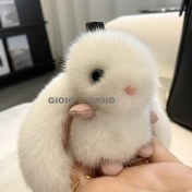 Resim Silver1 Peluş Bebek Anahtarlık Kolye Sevimli Biblolar Bebek Çekicilik Küçük Kolye (Yurt Dışından) 