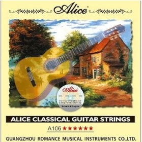 Resim AyrStore ALICE A106 Hard Tension Klasik Gitar Teli 