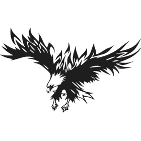 Resim Kartal Duvar Dekor Sticker 40 x 24 cm 