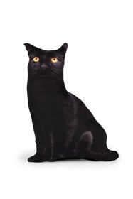 Resim Karam 3D Kedi Yastık 