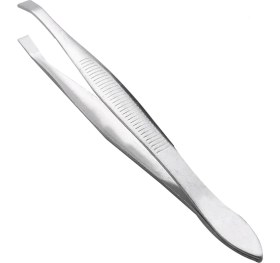 Resim Pandoraplanet Bayan Için Gümüş Ton Eğimli Düz Uç Metal Saç Kaş Cımbız Kozmetik Aracı (Yurt Dışından) 