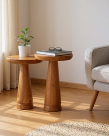 Resim ASELYA HOME Doğal Ahşap 2’li Set Mantar Yan Sehpa Modern Fiskos Zigon Çiçeklik 