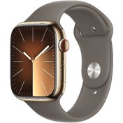 Resim Apple Watch Series 9 GPS + Cellular 45 MM Çelik Kasa Spor Kordon M/L Akıllı Saat (Apple Türkiye Garantili) 