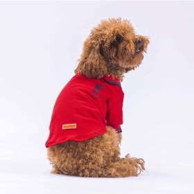 Resim Pawstar Kırmızı Marine Polo Yaka Kedi Köpek Tişörtü 