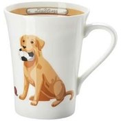 Resim Hutschenreuther Kahve Kupa Labrador 