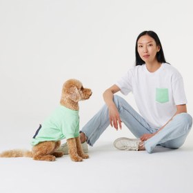 Resim Mint Yeşili Köpek ve İnsan Tişört Kombini - XS / L 