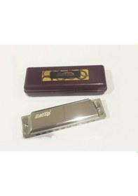 Resim East Top T10 Paslanmaz Çelik Gövde 10 Delikli Mızıka Gümüş-altın 