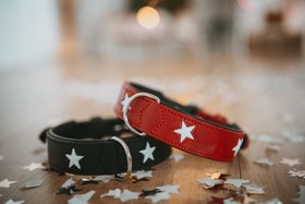 Resim Magic Star Boyun Tasması - Kırmızı / Siyah / M-L 
