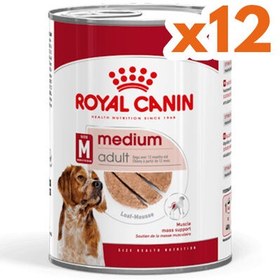 Resim Royal Canin Medium Adult Orta Irk Köpek Konservesi 410 Gr x 12 Adet 