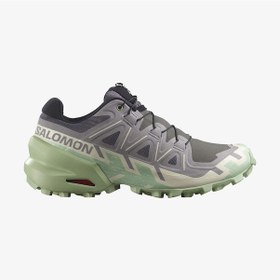 Resim Salomon Speedcross 6 W Kdn Castlerock/vanilla Ice/smoke Green Patika Koşusu Ayakkabısı L47582000 Mor 