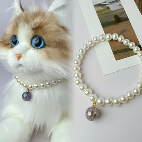 Resim Şirin bir kolye ve el yapımı evcil hayvan tasması - büyüleyici bir kedi pandantifli 