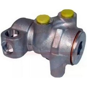 Resim Fren Lımıtoru Doğan Kartal Şahin 