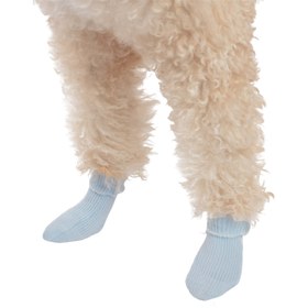 Resim PAWDDLE Köpek Çorabı (4'lü Set; Standart Beden Küçük Irk) - Yeşil Vyaka 