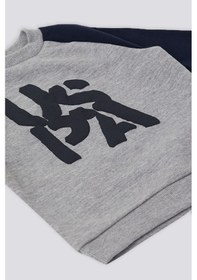 Resim U.s. Polo Assn. Erkek Bebek Gri 2'li Takım Gri 