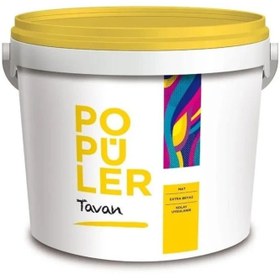Resim Polisan Beyaz 17,5 Kg Popüler Mat Tavan Boyası (20A00012000) 