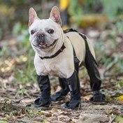 Resim Su geçirmez, ayarlanabilir köpek botları - Dış mekan yürüyüşü için nefes alabilen ve kir geçirmez evcil hayvan ayakkabıları, küçük ve orta boy ırklar için yumuşak pati koruyucuları, güvenli tokalı kapanışlı dayanıklı polipropilen malzeme 