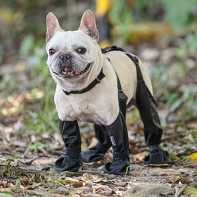 Resim Su geçirmez, ayarlanabilir köpek botları - Dış mekan yürüyüşü için nefes alabilen ve kir geçirmez evcil hayvan ayakkabıları, küçük ve orta boy ırklar için yumuşak pati koruyucuları, güvenli tokalı kapanışlı dayanıklı polipropilen malzeme 