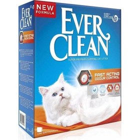 Resim Ever Clean Fast Acting Odour Control İnce Topaklaşan Kedi Kumu 10 L 