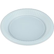 Resim Plastik Tabak Büyük 100 Adet 