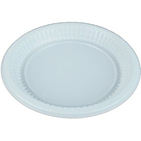 Resim Plastik Tabak Büyük 100 Adet 