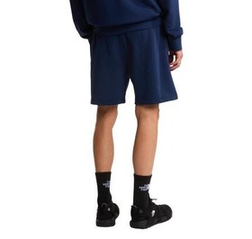 Resim The North Face M Sımple Dome Lıght Regular Shorts Erkek Şort Ve Kapri Siyah 