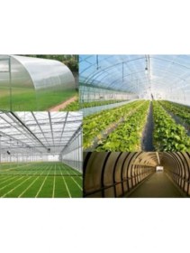 Resim Sera Naylonu, 36 Aylık, 5 Katkılı, 350 Micron 8X15 Şeffaf Sera Örtüsü, Uv Dayanımlı, Ir, Ev, Ab, Ld 