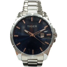 Resim T0-3225rbl Tıger Çelik Erkek Saati Metalik Gri 