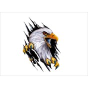 Resim SEÇ Pençe Kartal Renkli Sticker Çok Amaçlı Sticker Etiket 