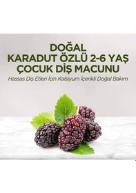 Resim Mey İthalat Doğal Karadut Özlü Diş Macunu 2-6 Yaş 60 Ml 