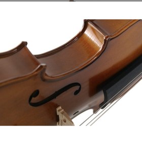 Resim Stentor 1542/A Graduate Keman (4/4) 